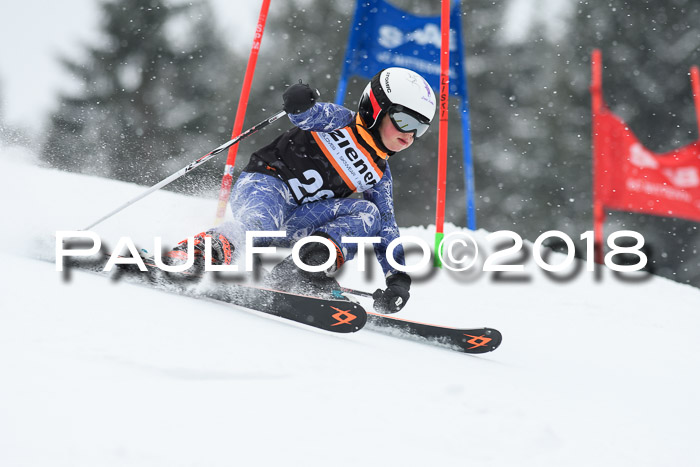 4. Ziener Cup WF, 25.02.2018
