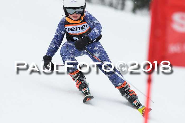 4. Ziener Cup WF, 25.02.2018