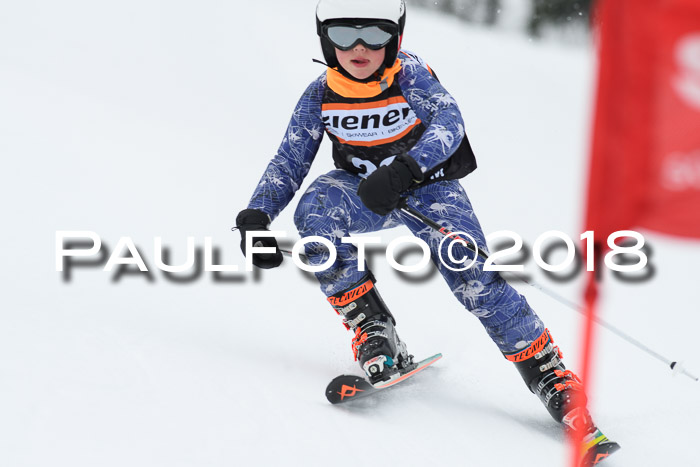 4. Ziener Cup WF, 25.02.2018