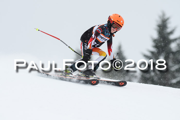 4. Ziener Cup WF, 25.02.2018