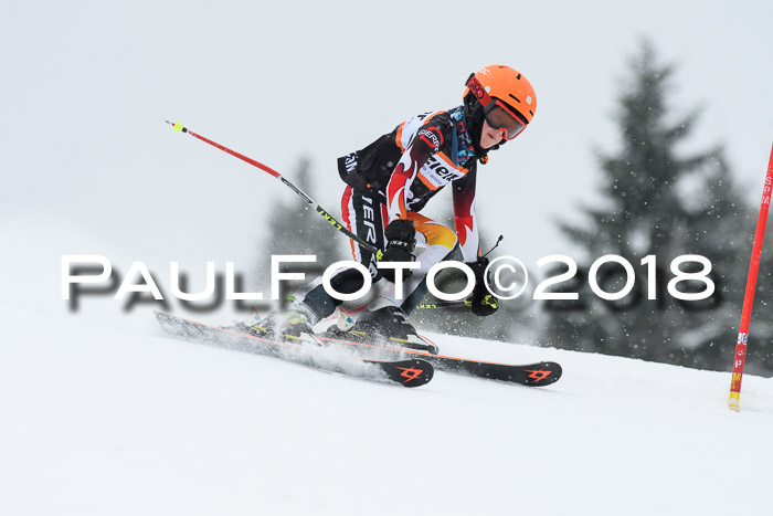 4. Ziener Cup WF, 25.02.2018