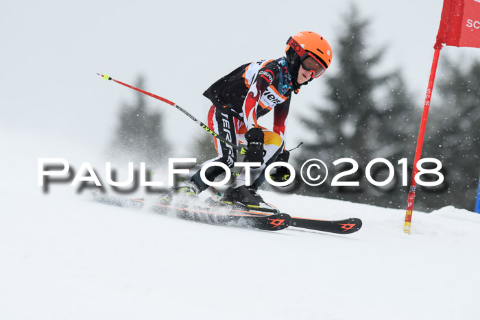 4. Ziener Cup WF, 25.02.2018