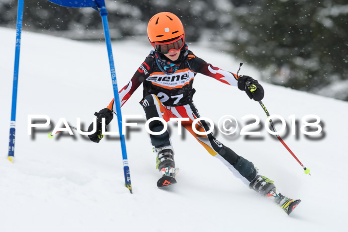 4. Ziener Cup WF, 25.02.2018