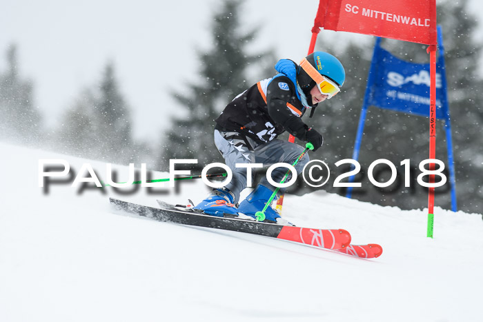 4. Ziener Cup WF, 25.02.2018