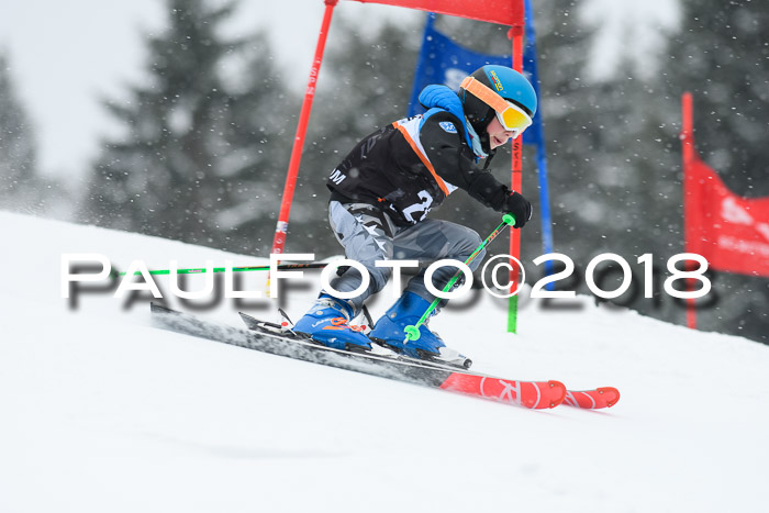 4. Ziener Cup WF, 25.02.2018