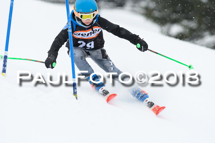 4. Ziener Cup WF, 25.02.2018