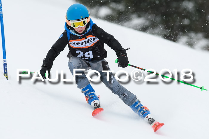 4. Ziener Cup WF, 25.02.2018