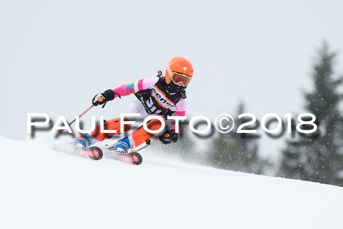 4. Ziener Cup WF, 25.02.2018