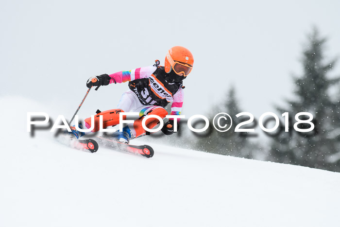 4. Ziener Cup WF, 25.02.2018