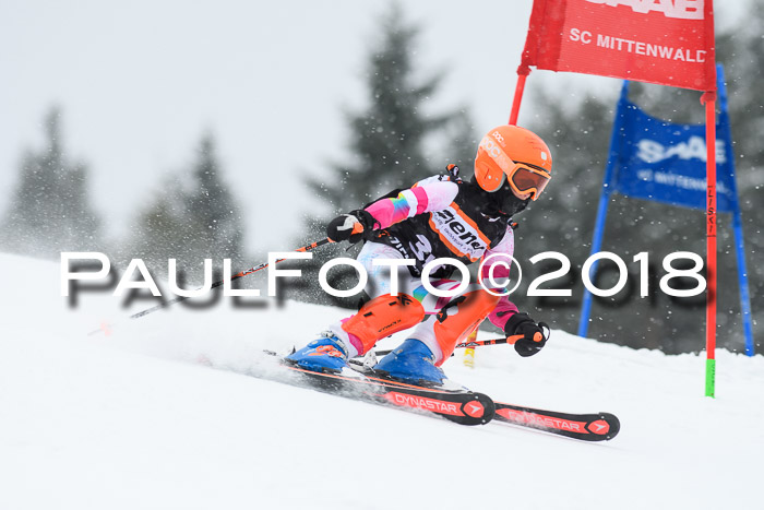 4. Ziener Cup WF, 25.02.2018