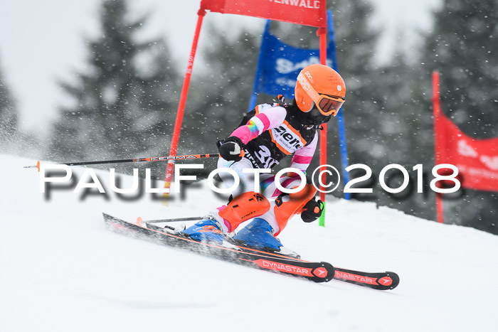4. Ziener Cup WF, 25.02.2018