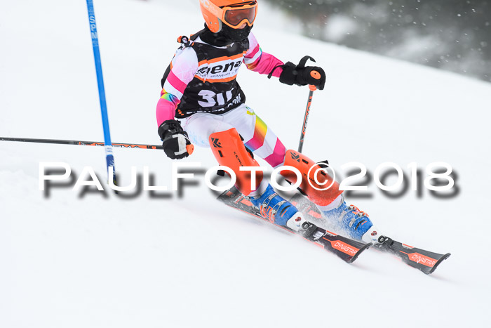 4. Ziener Cup WF, 25.02.2018