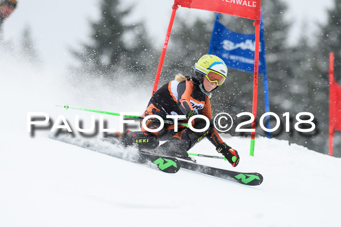 4. Ziener Cup WF, 25.02.2018