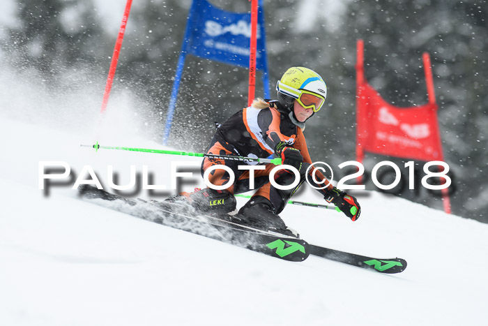 4. Ziener Cup WF, 25.02.2018