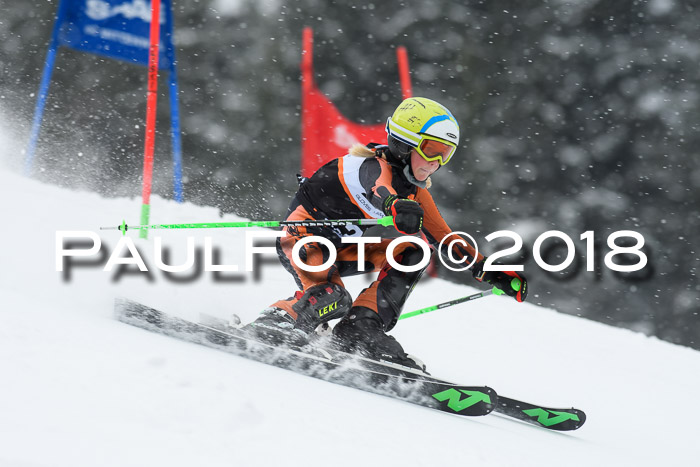 4. Ziener Cup WF, 25.02.2018