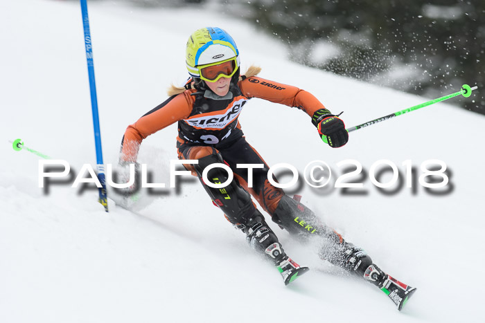 4. Ziener Cup WF, 25.02.2018
