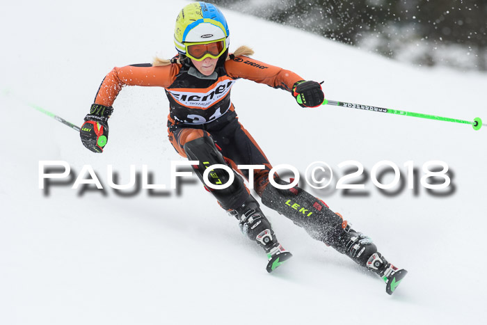 4. Ziener Cup WF, 25.02.2018