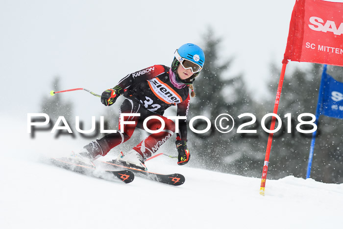 4. Ziener Cup WF, 25.02.2018