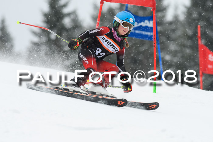 4. Ziener Cup WF, 25.02.2018