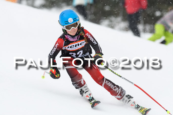 4. Ziener Cup WF, 25.02.2018