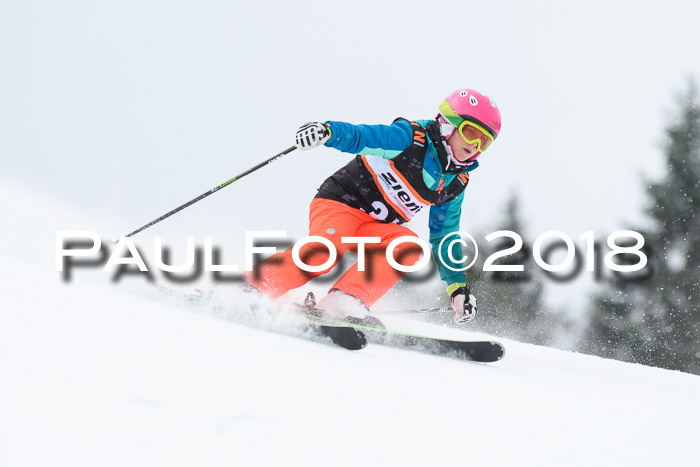 4. Ziener Cup WF, 25.02.2018