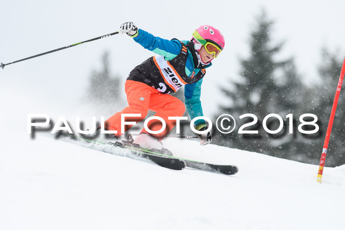 4. Ziener Cup WF, 25.02.2018