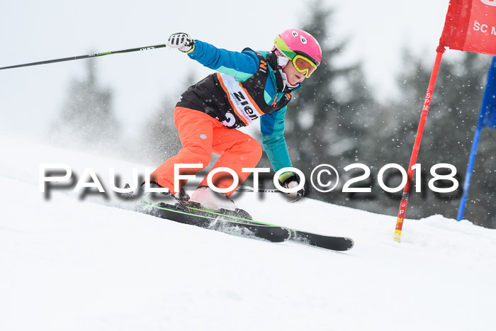 4. Ziener Cup WF, 25.02.2018