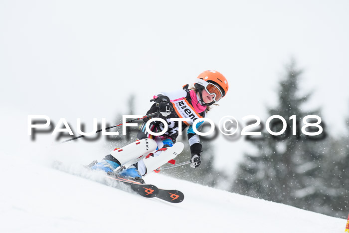 4. Ziener Cup WF, 25.02.2018