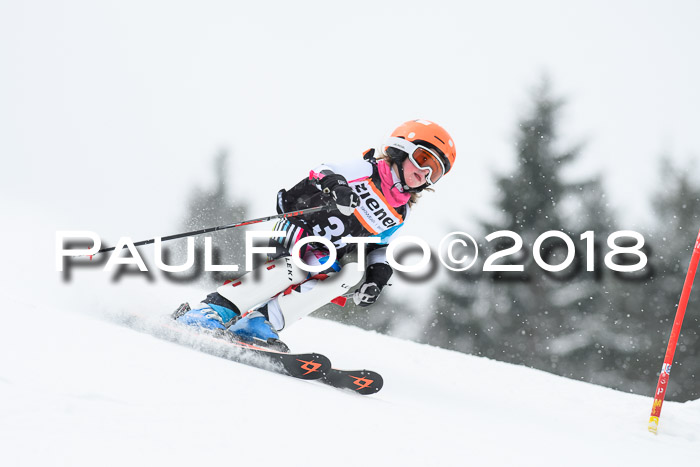 4. Ziener Cup WF, 25.02.2018