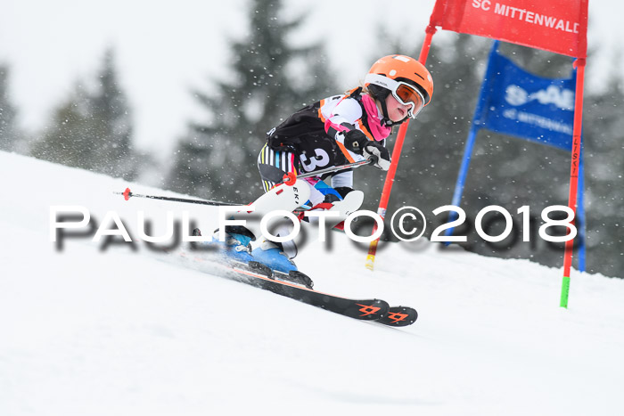 4. Ziener Cup WF, 25.02.2018