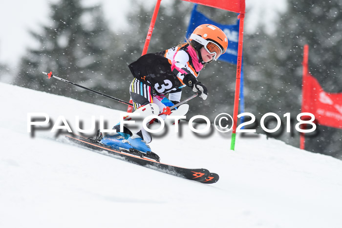 4. Ziener Cup WF, 25.02.2018