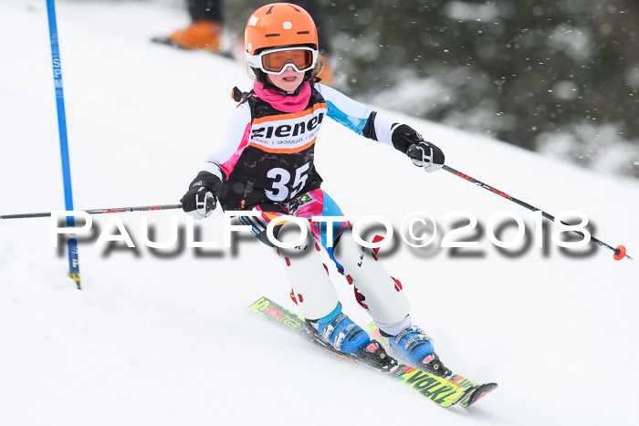 4. Ziener Cup WF, 25.02.2018