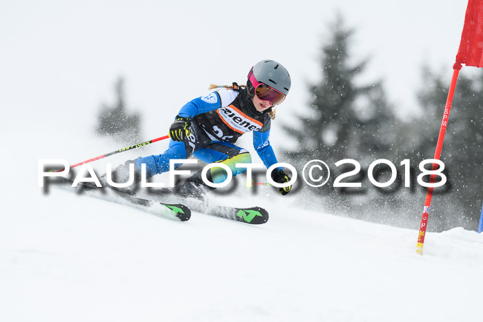 4. Ziener Cup WF, 25.02.2018
