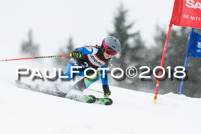 4. Ziener Cup WF, 25.02.2018