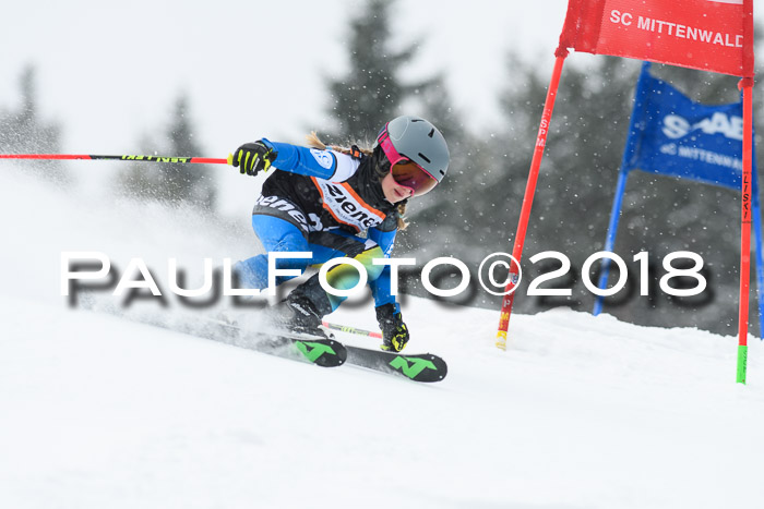 4. Ziener Cup WF, 25.02.2018