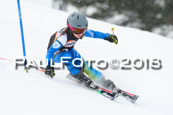 4. Ziener Cup WF, 25.02.2018