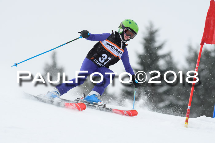 4. Ziener Cup WF, 25.02.2018