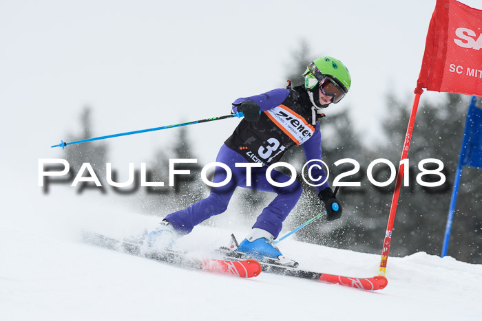 4. Ziener Cup WF, 25.02.2018