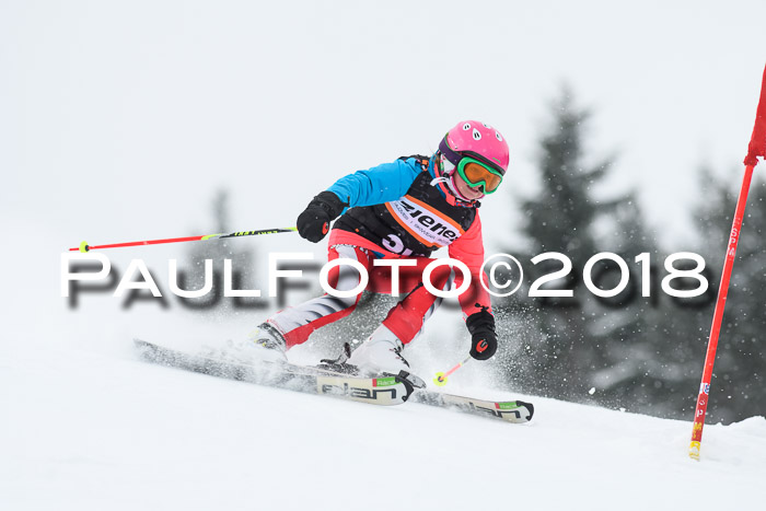 4. Ziener Cup WF, 25.02.2018