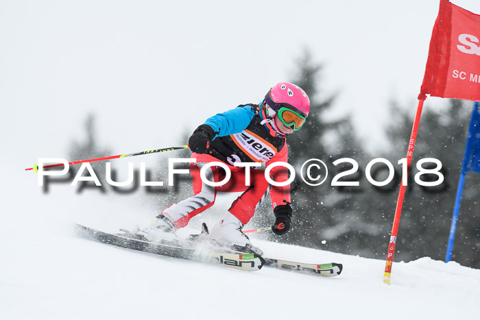 4. Ziener Cup WF, 25.02.2018