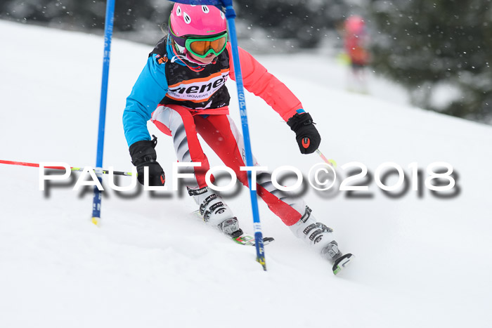 4. Ziener Cup WF, 25.02.2018