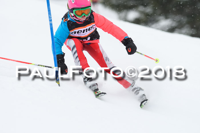 4. Ziener Cup WF, 25.02.2018