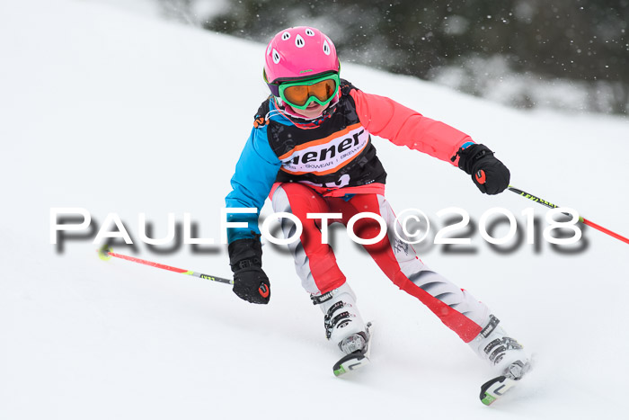 4. Ziener Cup WF, 25.02.2018