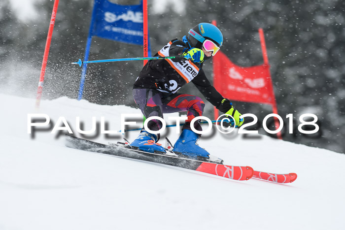 4. Ziener Cup WF, 25.02.2018