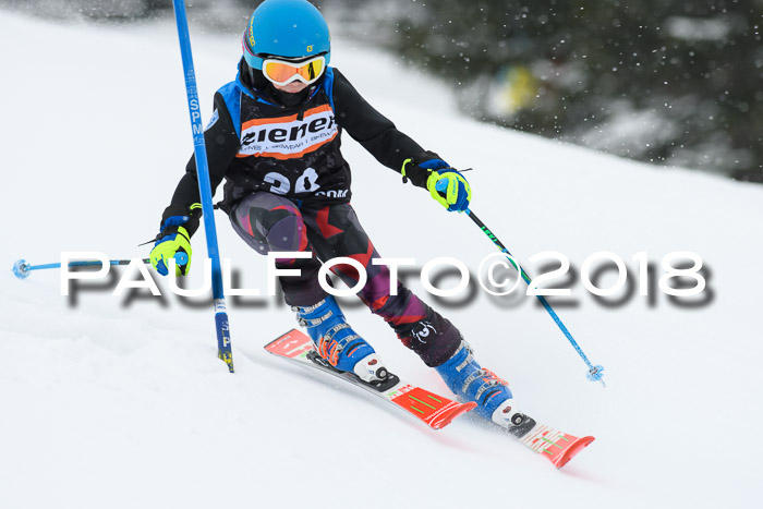 4. Ziener Cup WF, 25.02.2018