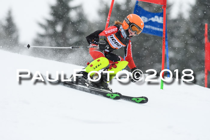 4. Ziener Cup WF, 25.02.2018