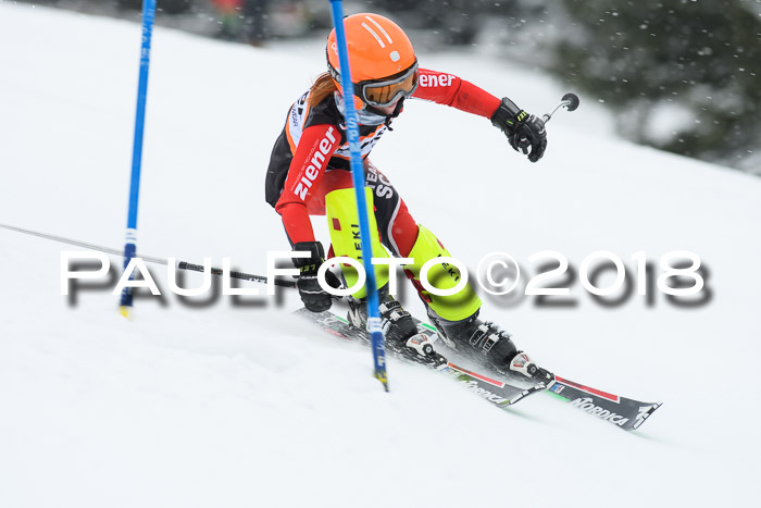 4. Ziener Cup WF, 25.02.2018