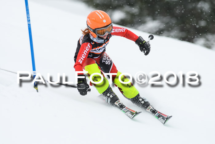 4. Ziener Cup WF, 25.02.2018