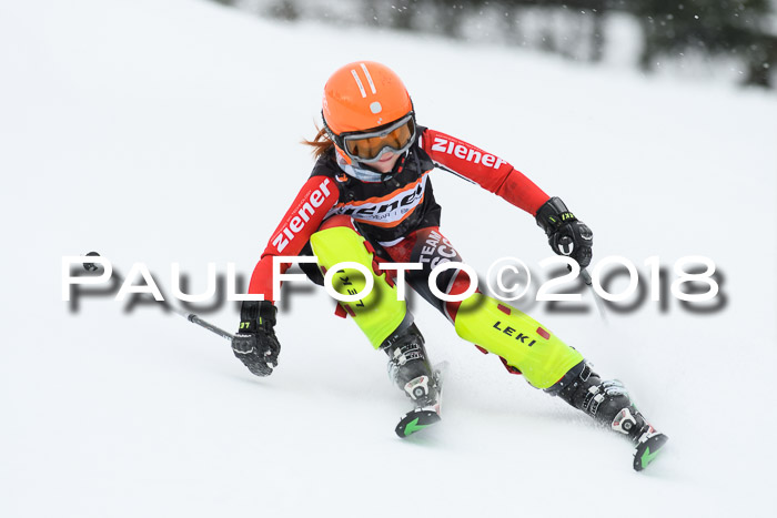 4. Ziener Cup WF, 25.02.2018