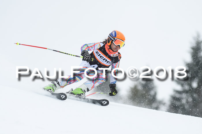 4. Ziener Cup WF, 25.02.2018